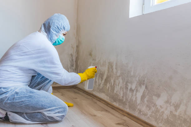 Licensed Commercial Mold Remediation service in Malvern, PA - WQB Mold Removal