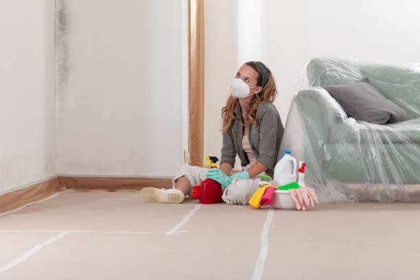 Reliable Commercial Mold Remediation contractor in Malvern, PA by WQB Mold Removal